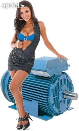 1384515175_3000_l.jpg